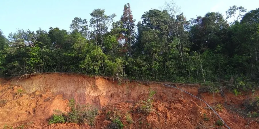 Illustrative image of Landslide assessment in Anchorage