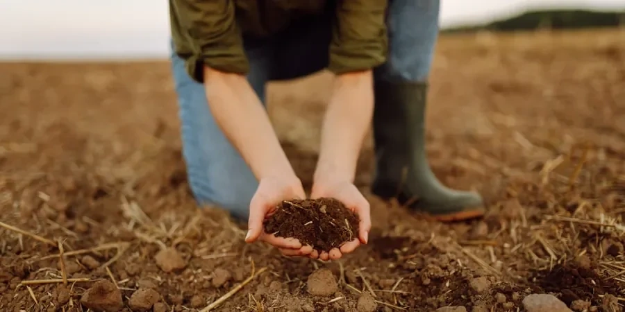 Illustrative image of Organic soil management in Anchorage